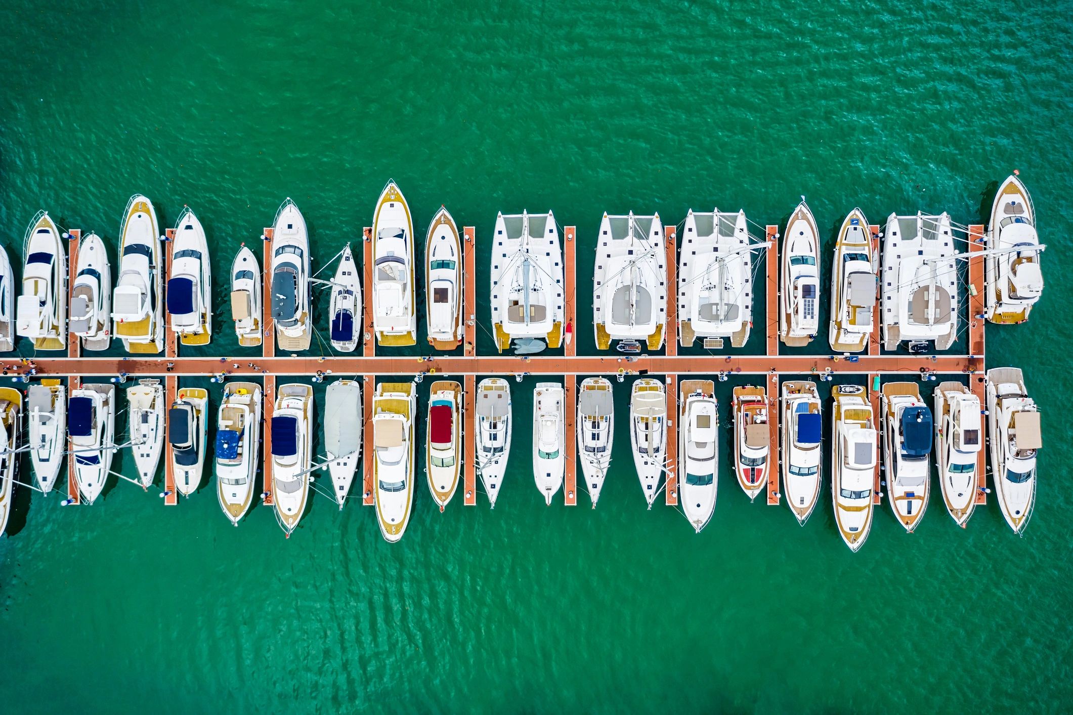 Aerial view of boats gathered in a marina