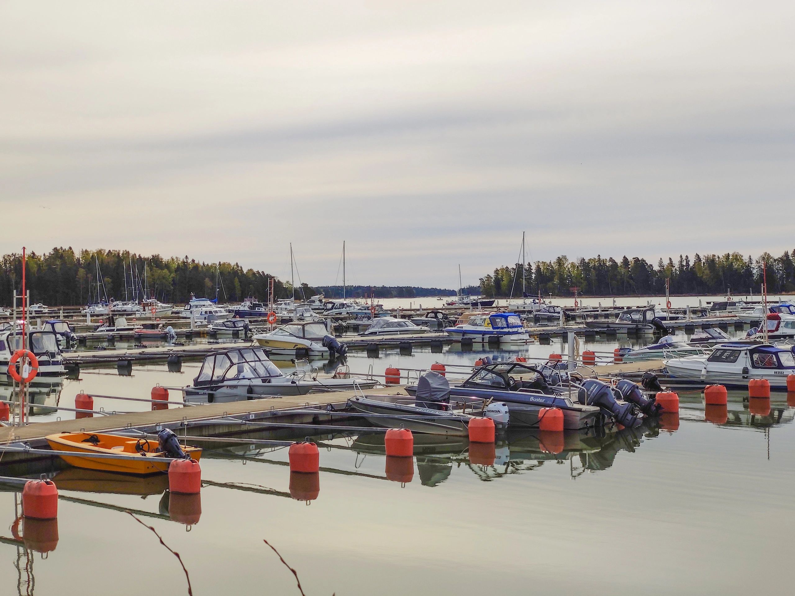 Boats docked at a marina
